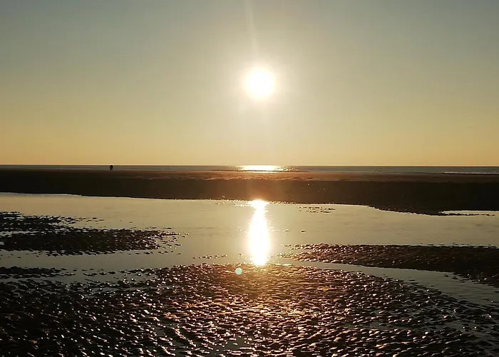 Moderne A 2 Min De La Plage, Vue Mer, Animaux Admis - Fr-1-482-153 Appartement Fort-Mahon-Plage